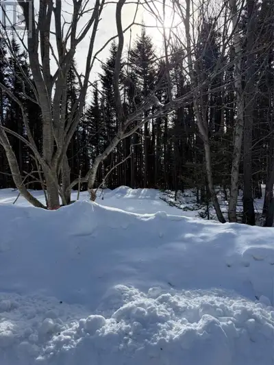 This beautiful parcel of land offers a rare opportunity to build in a peaceful natural setting, back...