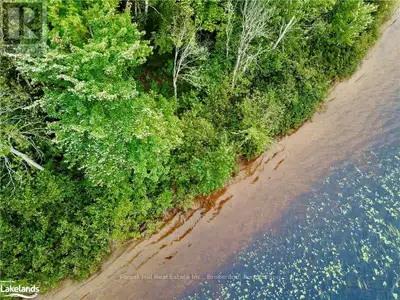 Welcome to Fox Lake. This beautiful waterfront lot provides a buyer the opportunity to build a dream...