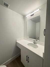 Amenities: Renovated Suites • Quiet Building • Dog Wash Station • Solar Panels Suite & Building: Spa... (image 3)