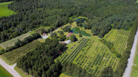 Saint-Romain:Ferme de 48,76 acres avec étangs de pêche et verger