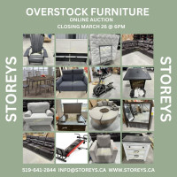 Overstock Furniture Online Auction
