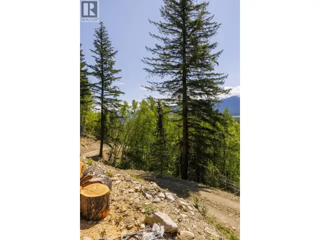 3260 MOUNTAIN VIEW ROAD McBride, British Columbia in Land for Sale in Quesnel - Image 4