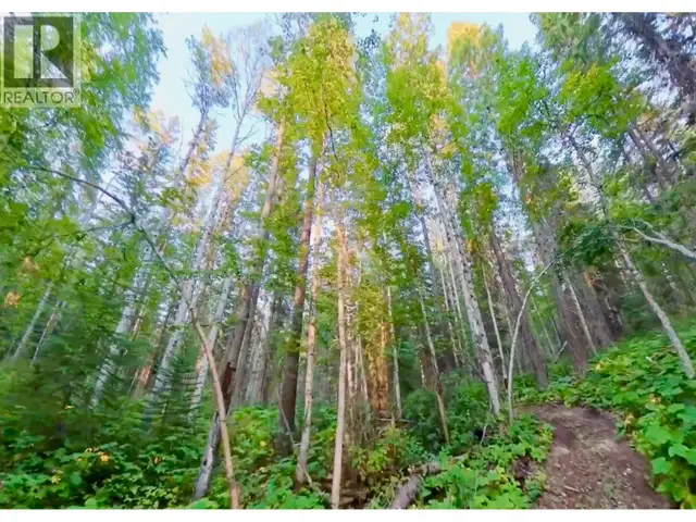 Lot 1 Neville Road Golden, British Columbia in Land for Sale in Revelstoke - Image 19