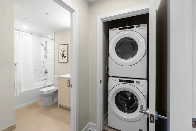 1 Bedroom Apartment for Rent - 41 Johnson Street62863328696322124