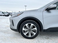 Welcome to Freedom Ford. Recent Arrival! AWD, 10-Way Power Driver's Seat, 3.47 Axle Ratio, 6 Speaker... (image 2)