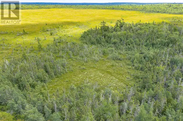 TBD Canada Hill Road Allendale, Nova Scotia in Land for Sale in Yarmouth - Image 5