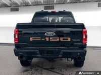 Dominate any terrain with this powerful 2023 Ford F-150 XL Crew Cab pickup. Boasting a robust 3.5L V... (image 4)
