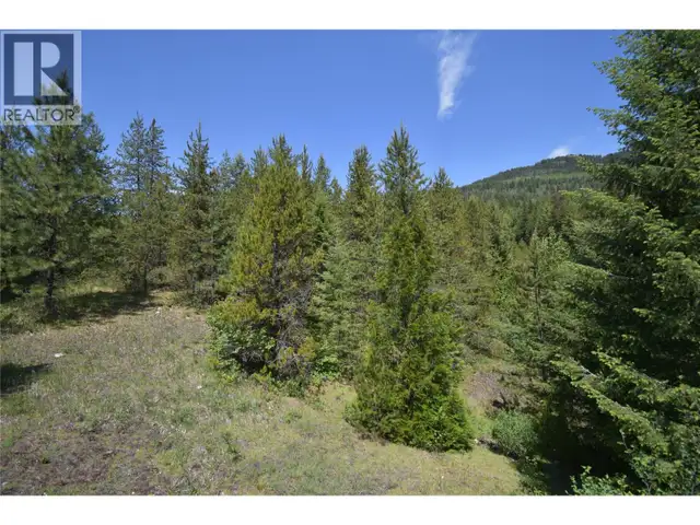 4125 Ross Spur Road Fruitvale, British Columbia in Land for Sale in Nelson - Image 9