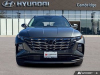 Seamlessly blend eco-consciousness with sophisticated design in this 2023 Hyundai Tucson Hybrid Luxu... (image 7)