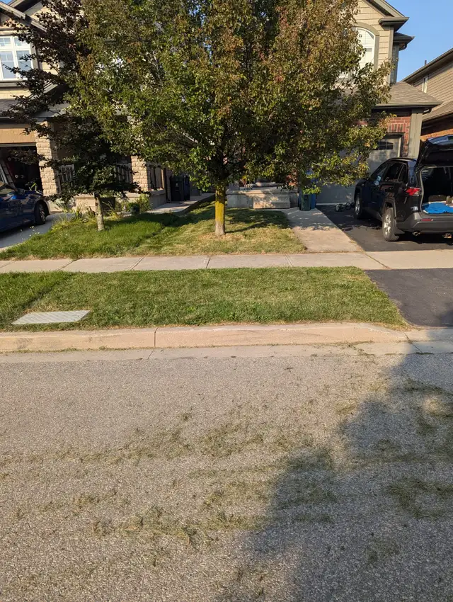 Affordable Grass Cutting and Sodding62863243478531123