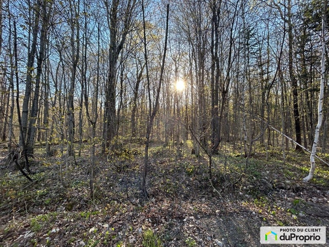$215,000 - Price taxes not included - Residential Lot for sale — photo 3