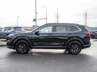 No Accidents - One Owner - Keyless Ignition - Power Liftgate - Sunroof The 2025 Honda CR-V Sport com... (image 5)