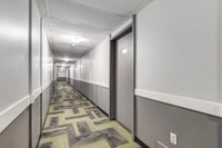 Amenities: Great Location • Heat & Water Included • Updated Appliances Suite & Building: One-bedroom... (image 8)