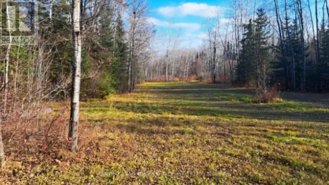 15 MALACHI Kenora Remote Area (West of Kenora), Ontario in Land for Sale in Kenora - Image 7