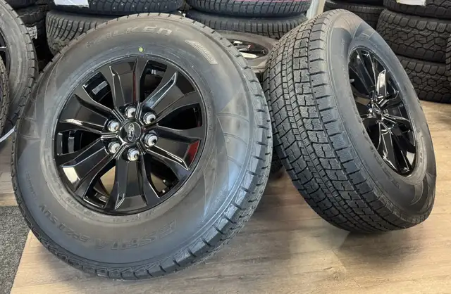 2005–2026 Ford F-150 / Expedition Winter Rim &  Tires in Tires & Rims in Edmonton - Image 2