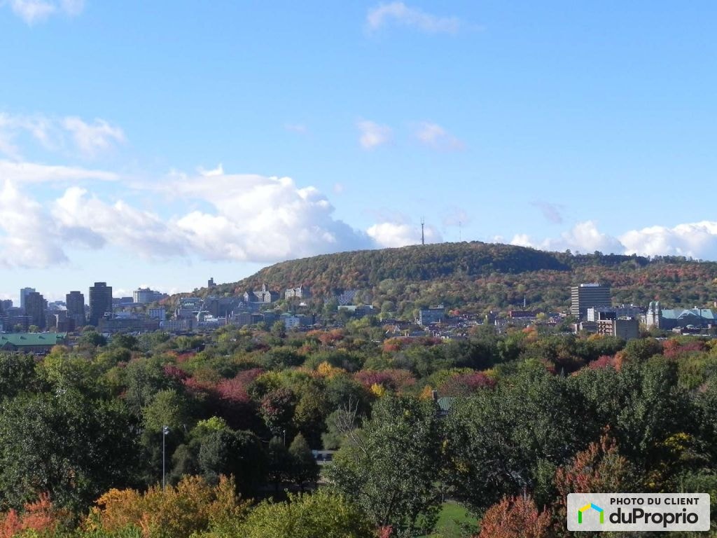 $737,900 - Condominium for sale in Le Plateau-Mont-Royal — photo 1
