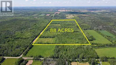 88 Acres of Paradise to explore! Approximately 10 +/- acres of wild blueberries and wild strawberrie...