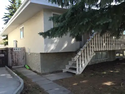 Large, comfortable and bright Lower Level of an attached house, perfect for a professional couple or...