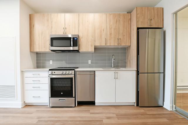 Fifth + Bank - One Bedroom Plus Den for Rent in Glebe in Long Term Rentals in Ottawa - Image 3