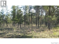Rec lot 4/2 Hudson Bay Rm No. 394, Saskatchewan Nipawin Saskatchewan Preview