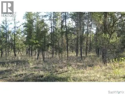 Located in the Rm of Hudson Bay only minutes from the town of Hudson Bay, Sk on the upper bank of th...