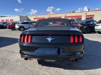 Trade In Vehicle**Ford**Mustang**V6**3.7L**Automatic**Convertible**Back Up Camera**Bluetooth**Paddle... (image 2)