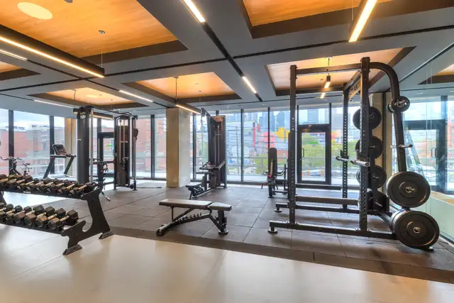 Appartement Studio Condo locatif-Griffintown-Sud-Ouest in Long Term Rentals in City of Montréal - Image 22