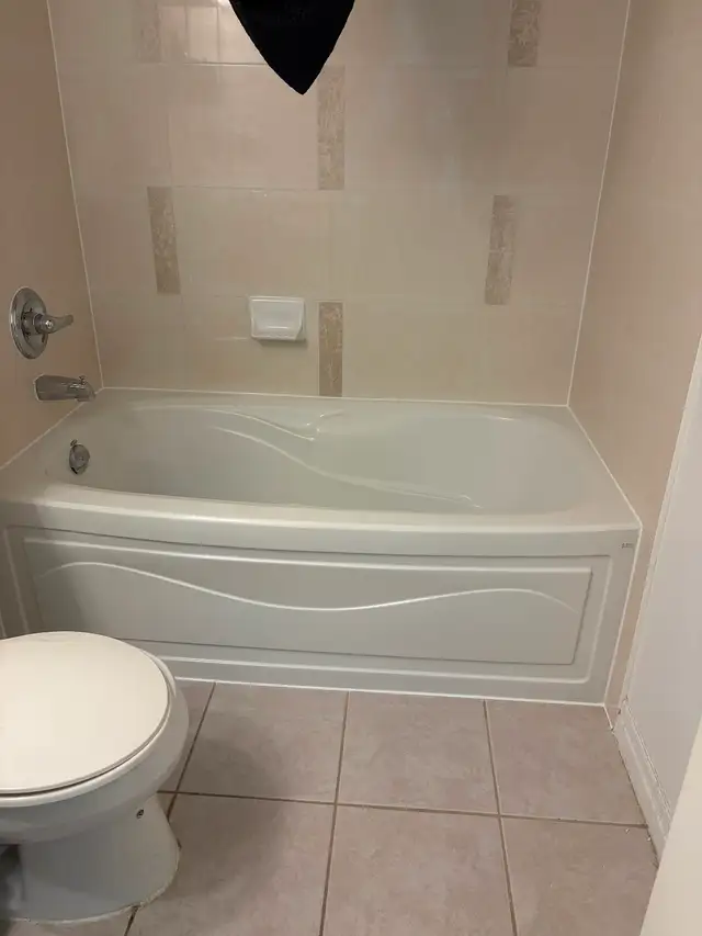 Shower cleaning, silicone replacement589175819831224325