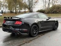 2018 Ford Mustang ECOBOOST FASTBACK | LOW KMS | ALL BLACK Fresh Trade | Rare Find ️Clean Title Low K... (image 4)