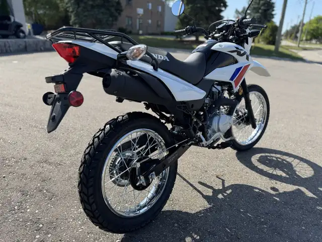 2025 Honda XR150L Standard in Street, Cruisers & Choppers in Kitchener / Waterloo - Image 4
