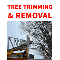TREE TRIMMING - PRUNING - REMOVAL