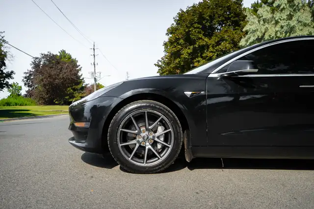 2020 Tesla Model 3534820850038876165