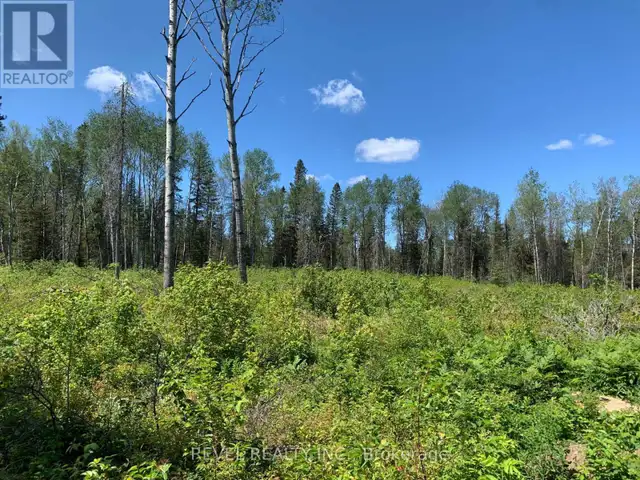 PCL8547 HWY 101 HIGHWAY W Timmins (TCTDAR Outside), Ontario in Land for Sale in Timmins - Image 32