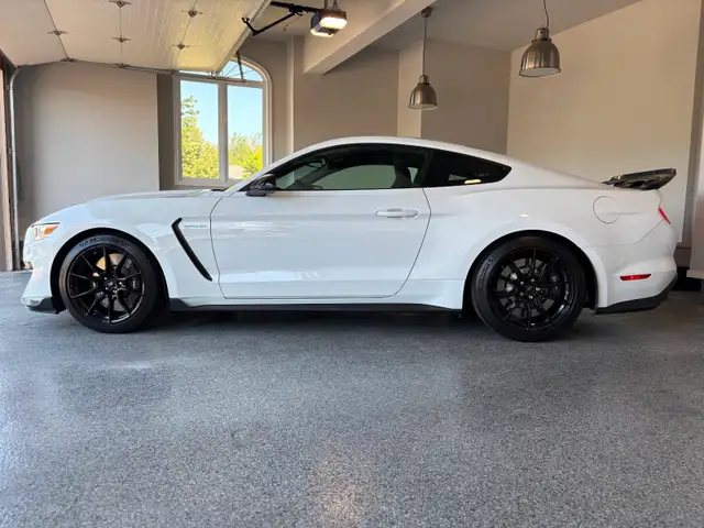 2019 Ford Mustang Shelby GT350 in Cars & Trucks in Oakville / Halton Region - Image 3