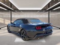 2025 Ford Mustang EcoBoost Sporty, stylish, and built to deliver an exciting driving experience, thi... (image 3)