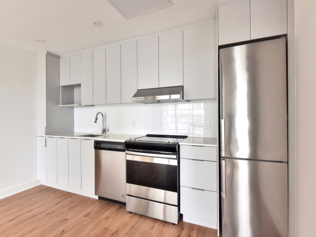 PENTHOUSE 2cc Condo appart à louer-Quartier Latin-Berri UQAM dans Locations longue durée  à Ville de Montréal - Image 2