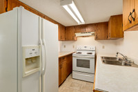 Welcome to your future home! Bel-Aire Apartments is an ideal location for families, young profession... (image 2)
