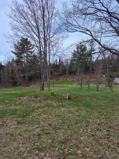 Perfect gateway location to build your dream home. This landscaped park like property with lawns and...