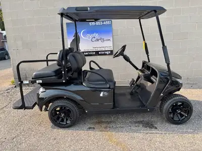 STAND OUT IN THE PARK!! 2017 EZGO STORM EDITION ✔NEW rims and tires ✔NEW rear flip seat w/door ✔NEW...