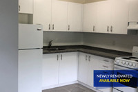 Small town, big living! 704 Canboro Apartments in Niagara are offer the best of small-town living, a... (image 1)