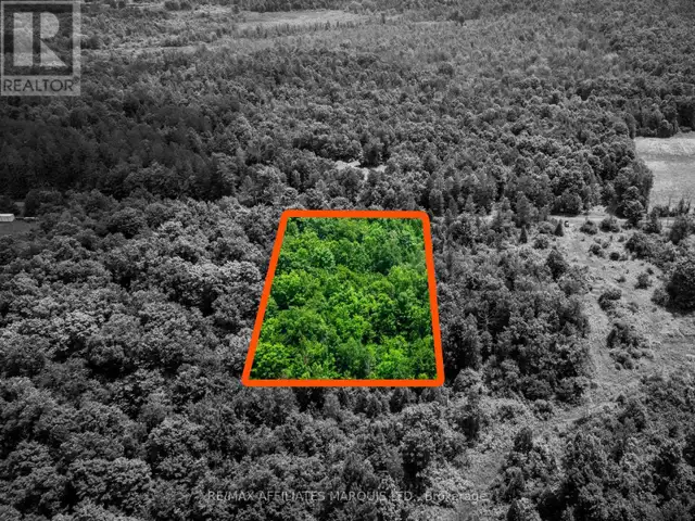 LOT BEAVER BROOK ROAD South Glengarry, Ontario in Land for Sale in Cornwall - Image 5