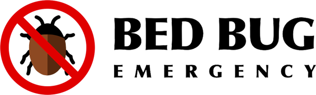 Bedbug Removal Service449688948452904960