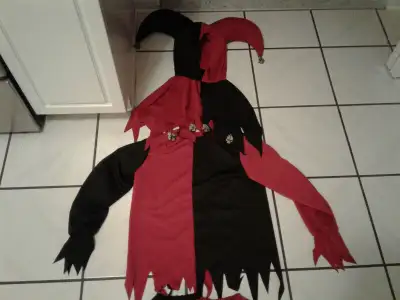Jester/Harley Quinn - comes with top, bottom and jester hat with skulls - size medium child. Size 10...