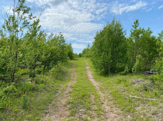 165 Acres with many potential uses! in Land for Sale in Saint John - Image 3
