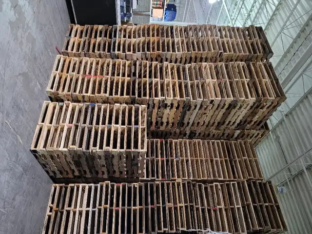Great Pallets for sale in stock ready now real PHOTOS FROM US in Other in Mississauga / Peel Region - Image 4
