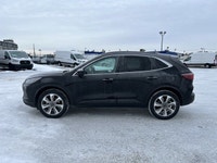 Welcome to Freedom Ford. Recent Arrival! AWD, 10-Way Power Driver's Seat, 3.47 Axle Ratio, 6 Speaker... (image 3)