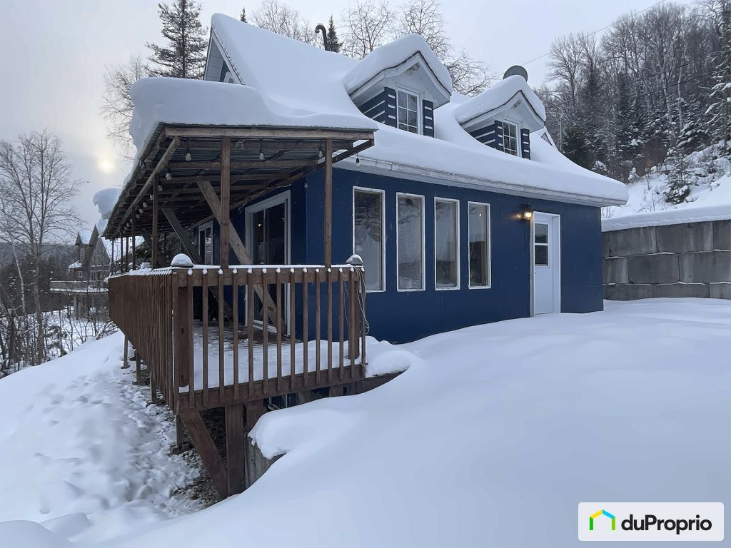 $350,000 - Cottage for sale in St-Felix-D'Otis — photo 3