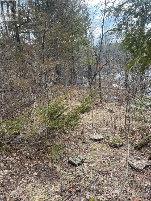 00 N. DUMMER 7TH LINE ROAD Douro-Dummer, Ontario in Land for Sale in Peterborough - Image 14