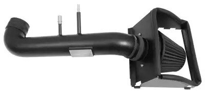 Blackhawk Induction air intake systems feature an oil-free synthetic filter media, black powder-coat...