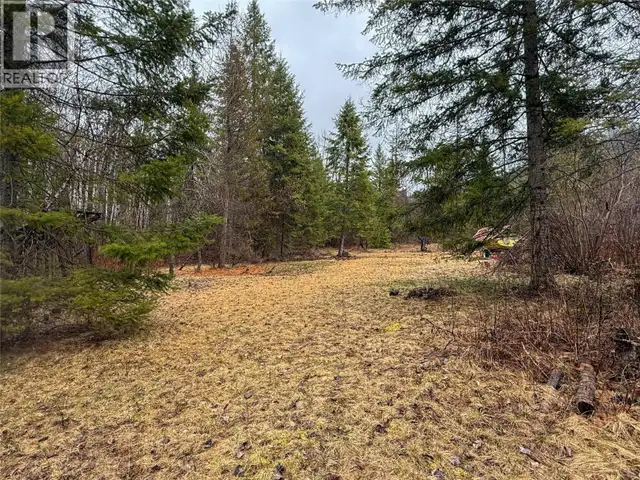 Nixon Road Lot# 83 Appledale, British Columbia in Land for Sale in Nelson - Image 19